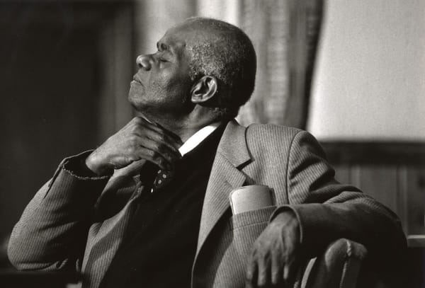 Image of John Henrik Clarke by Chester Higgins taken in 1998